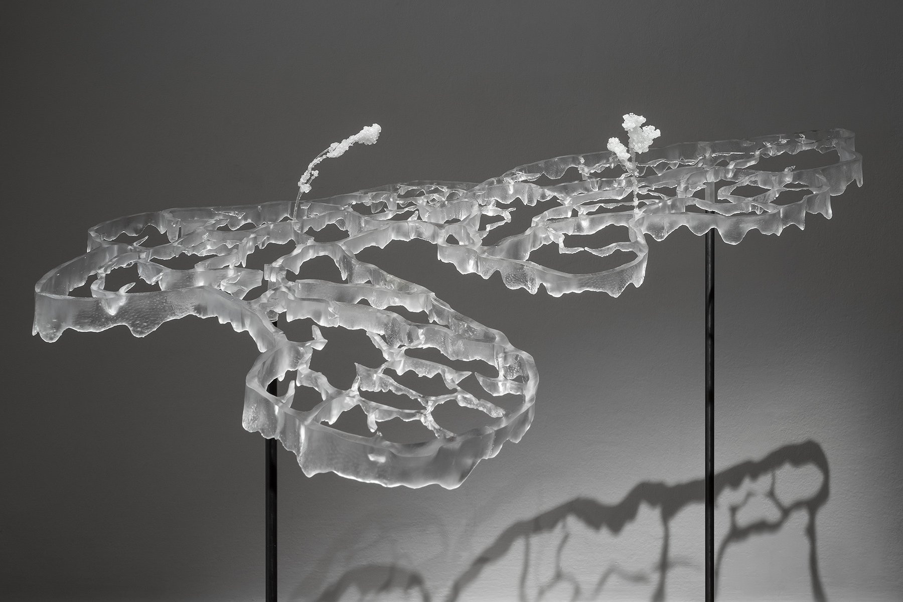 Budapest Galéria_Pillanatnyi elmék kiállítás enteriőr